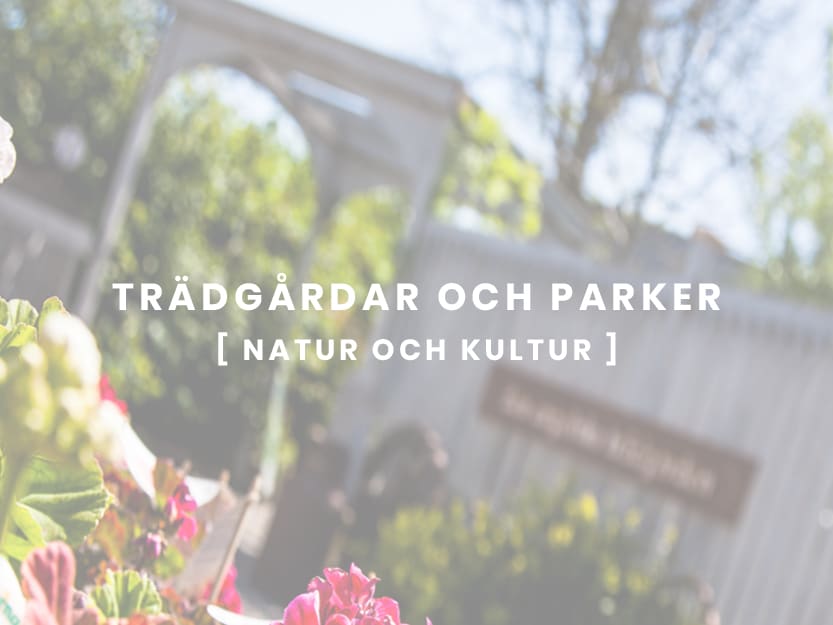 Åbergs Trädgård och Café